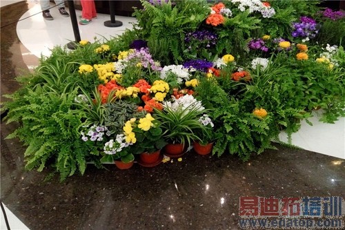 ����note (30)