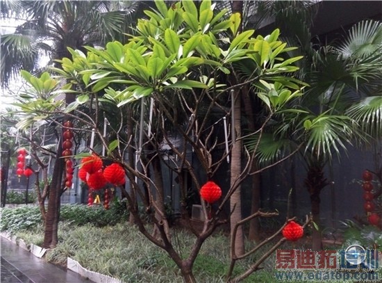 699Ԫ�����ٳ��֣�Yun OS�������ֻ�����