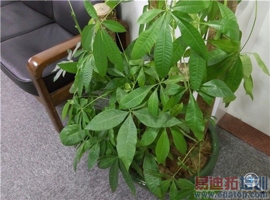 699Ԫ�����ٳ��֣�Yun OS�������ֻ�����