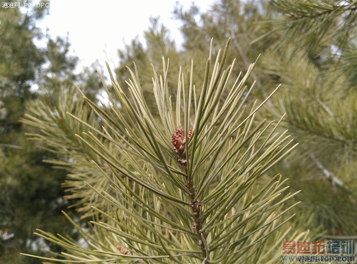 ����X7ȫ��ͨ������ 