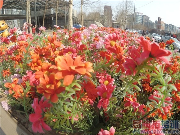 С���˶�����Ա�Go Proȫ�����⣺399Ԫ