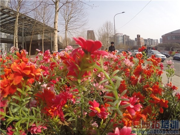 С���˶�����Ա�Go Proȫ�����⣺399Ԫ