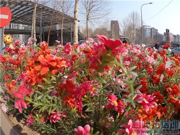 С���˶�����Ա�Go Proȫ�����⣺399Ԫ