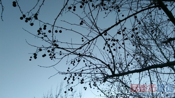 ˭����ֵȫ��ͨ�ֻ� ����F2�Ա���ҫ4X��32��ͼ