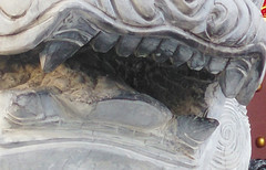 ˭����ֵȫ��ͨ�ֻ� ����F2�Ա���ҫ4X��37��ͼ