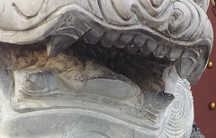 ˭����ֵȫ��ͨ�ֻ� ����F2�Ա���ҫ4X��36��ͼ