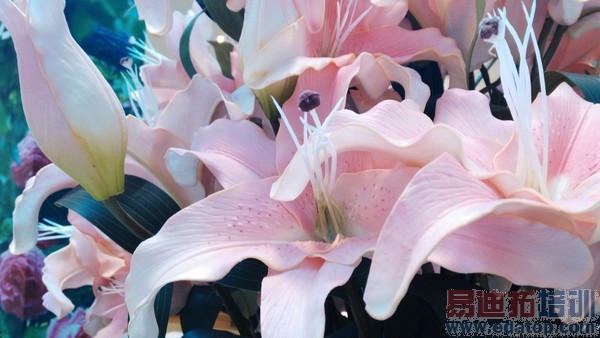 ˭����ֵȫ��ͨ�ֻ� ����F2�Ա���ҫ4X��41��ͼ