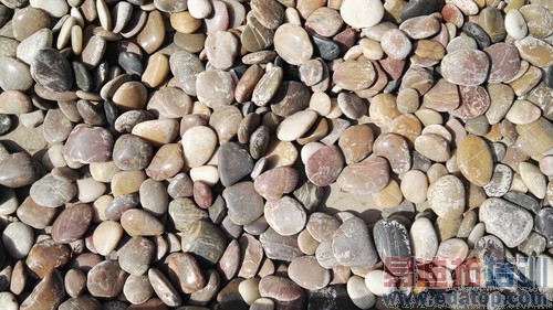 ��ΪP8����-2