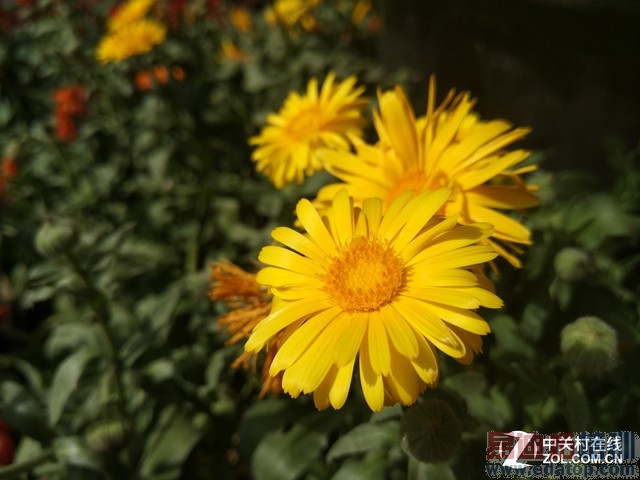 �ܷ��ʶ���׿����? С��Note��������� 