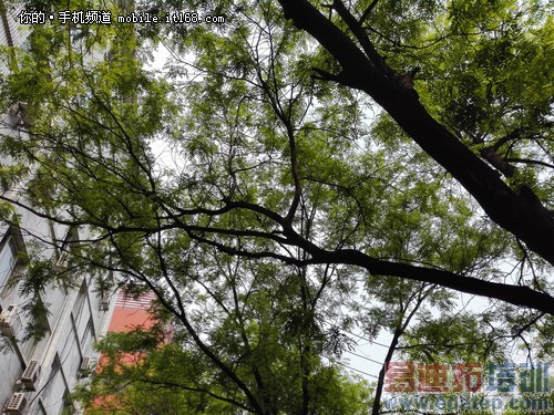 �������+�����ܽ�