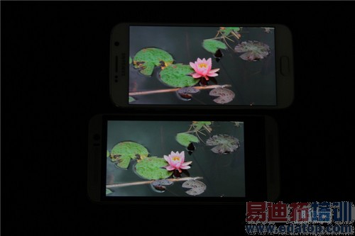 IMG_2806_����