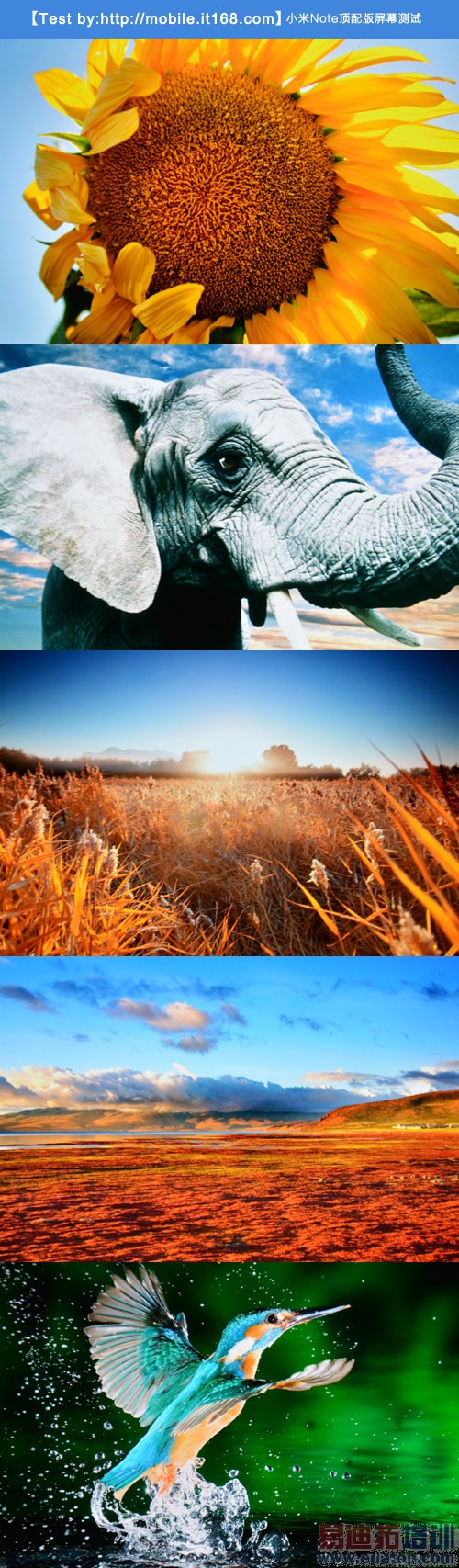 2K��Ļ��ʾЧ�����?