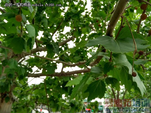 1300�����ؾ�ͷûʲô�仯ô?