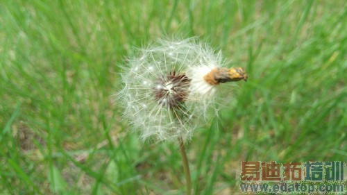 ȫ���׿��ޱ߿��ֻ� nubia Z9��������38��ͼ