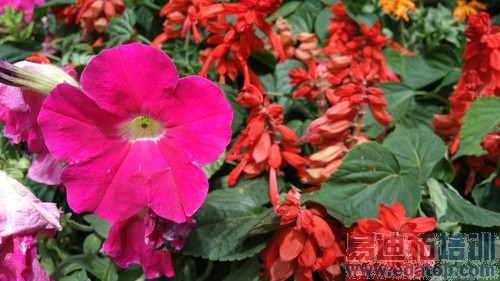 ȫ���׿��ޱ߿��ֻ� nubia Z9��������34��ͼ