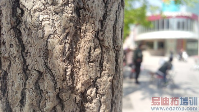 ��Ȼ����ʱ������ HTC One E9+ȫ������ 