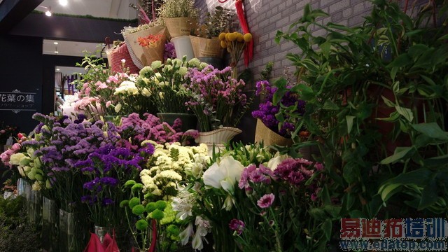 ��Ȼ����ʱ������ HTC One E9+ȫ������ 