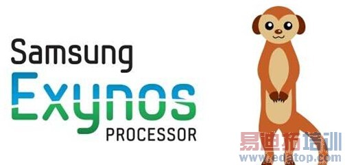 ����è��оƬ��ǰ�ع� �ɰܼ��Σ�