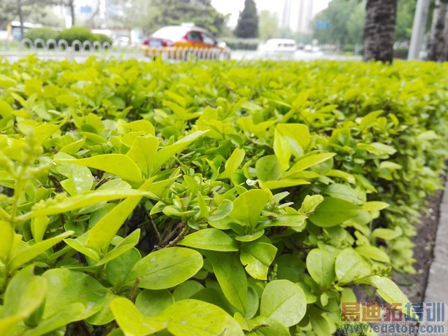 ��ҫ����4Cȫ������ 