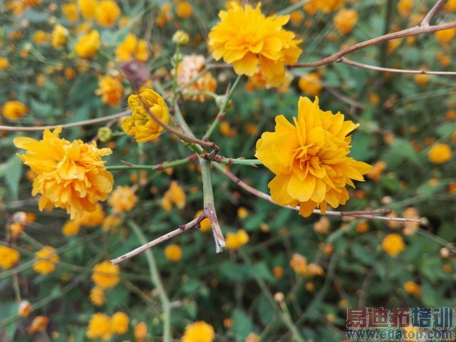 ��ҫ����4Cȫ������ 