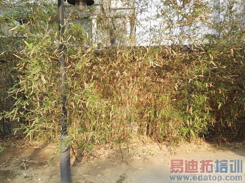 ��ΪP8�Ա�����MX4 Pro���⣺С��Note����滹Ҫ������