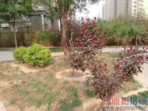 ��ΪP8�Ա�����MX4 Pro���⣺С��Note����滹Ҫ������