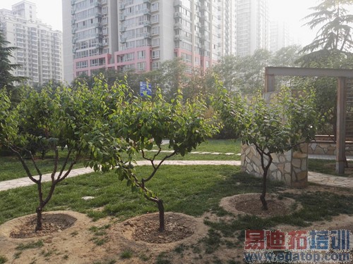 ��ΪP8�Ա�����MX4 Pro���⣺С��Note����滹Ҫ������