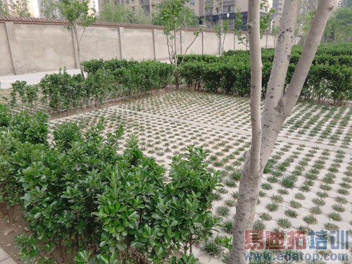 ��ΪP8�Ա�����MX4 Pro���⣺С��Note����滹Ҫ������