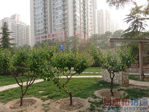 ��ΪP8�Ա�����MX4 Pro���⣺С��Note����滹Ҫ������