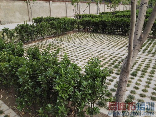 ��ΪP8�Ա�����MX4 Pro���⣺С��Note����滹Ҫ������