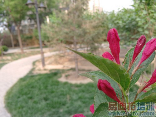 ��ΪP8�Ա�����MX4 Pro���⣺С��Note����滹Ҫ������