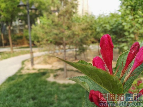 ��ΪP8�Ա�����MX4 Pro���⣺С��Note����滹Ҫ������