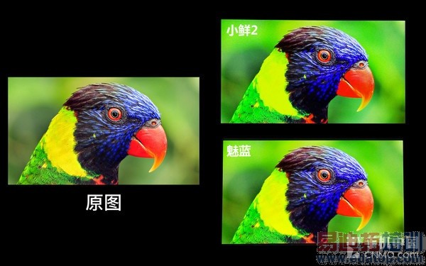 谁是699元够用党首选?小鲜2对比魅蓝第12张图