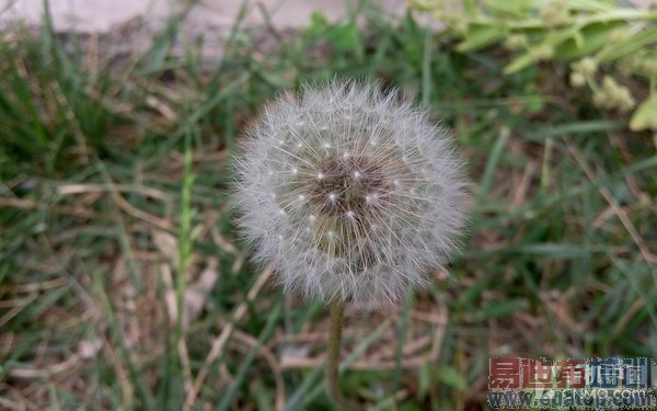 ˭��699Ԫ���õ���ѡ��С��2�Ա�������33��ͼ