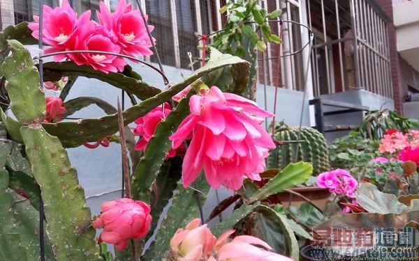 ˭��699Ԫ���õ���ѡ��С��2�Ա�������28��ͼ