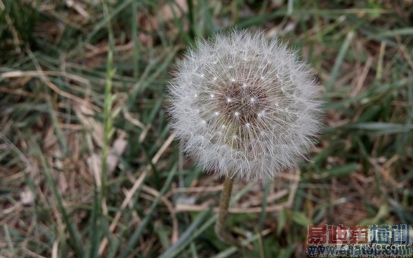 ˭��699Ԫ���õ���ѡ��С��2�Ա�������32��ͼ