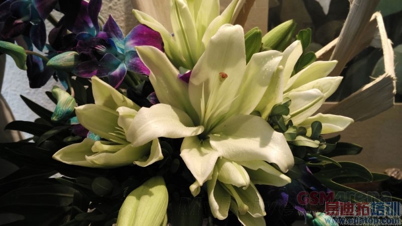 С��4i�������⣺���뻪ΪP8������������