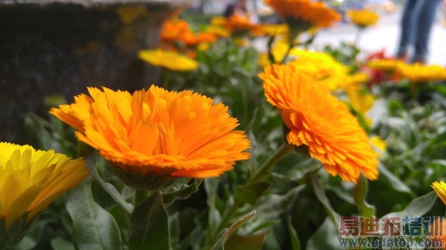 2K������808����С���� ���콢LG G4�ײ� 