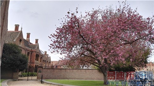 ��ΪP8���а濪�����⣺����о����935ֵ��ֵ3599��