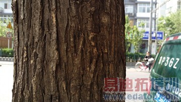 HTC One M9/M9+����