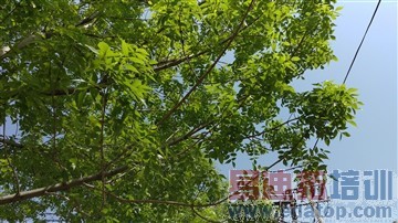 HTC One M9/M9+����