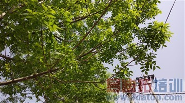 HTC One M9/M9+����