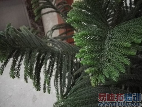 ��ΪP8����-7