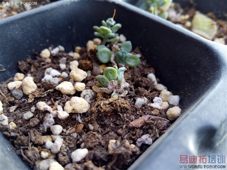 1500Ԫ���������� ���ӳ����ֻ�1���� 