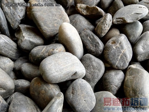 1300������RGBW�й����Ч����Σ�