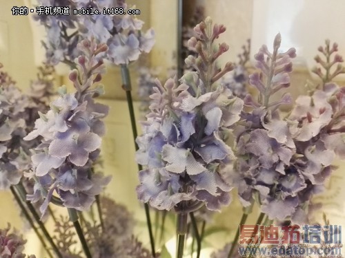 1300万像素RGBW感光相机效果如何?