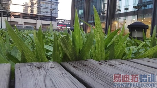 华为P8全面评测:麒麟935坐镇 小米Note顶配版如何出招?