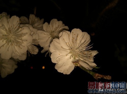 2000元档智能强机 金立S7对比小米Note第23张图