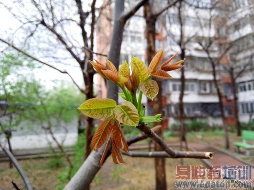 2000元档智能强机 金立S7对比小米Note第18张图