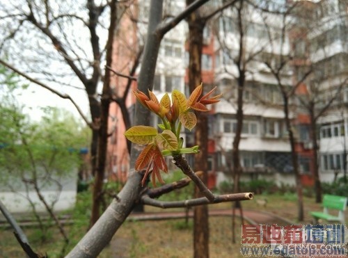 2000元档智能强机 金立S7对比小米Note第19张图